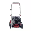 AL-KO Classic 4.62 P-B