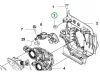 Husqvarna M5 anya karburátorhoz 545RXT, 555RXT, 555FXT fűkaszához robbantott ábra