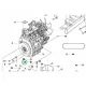 Husqvarna olajleeresztő tömítés Kubota motor P 520DX, P 525DX riderhez robbantott ábra