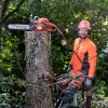 Husqvarna-545-Mark-II