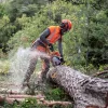 Husqvarna-545-Mark-II