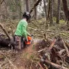 Husqvarna-585