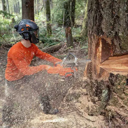 Husqvarna-585