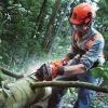 Husqvarna 555 benzinmotoros láncfűrész