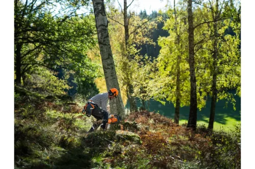 Husqvarna 450S láncfűrész erdei munka közben