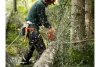 Husqvarna 450X láncfűrész fakivágás közben