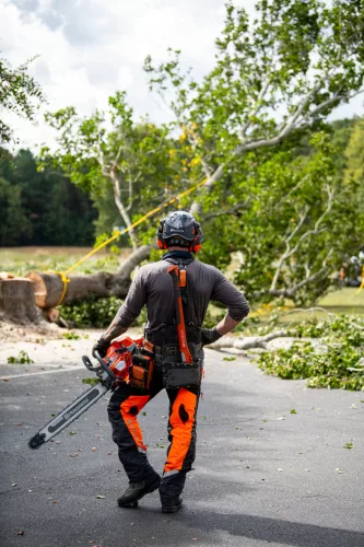 Husqvarna 564 XP benzinmotoros láncfűrész
