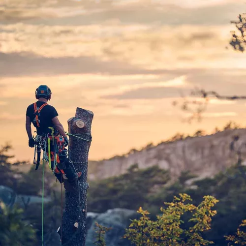 Husqvarna-540-XP-Mark-III