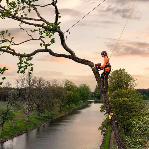 Husqvarna-540-XP-Mark-III