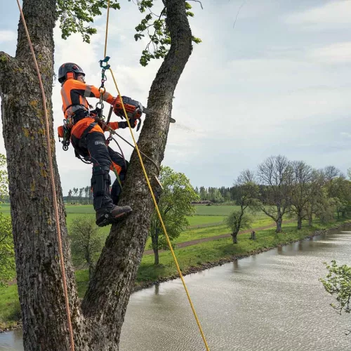 Husqvarna-540-XP-Mark-III