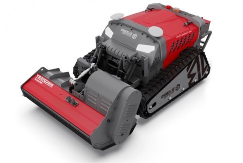BLUEBIRD FM 24-10 HP benzines rádió vezérelt magasgazvágó